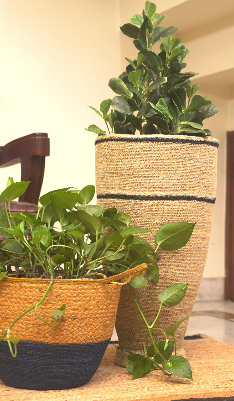 Basket - Rooted Grace