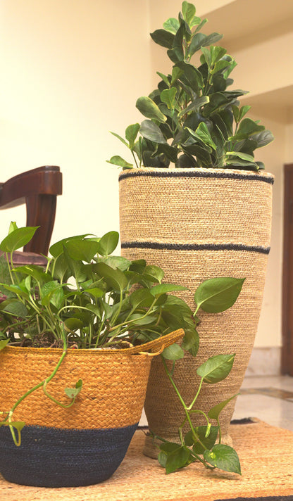 Basket - Rooted Grace